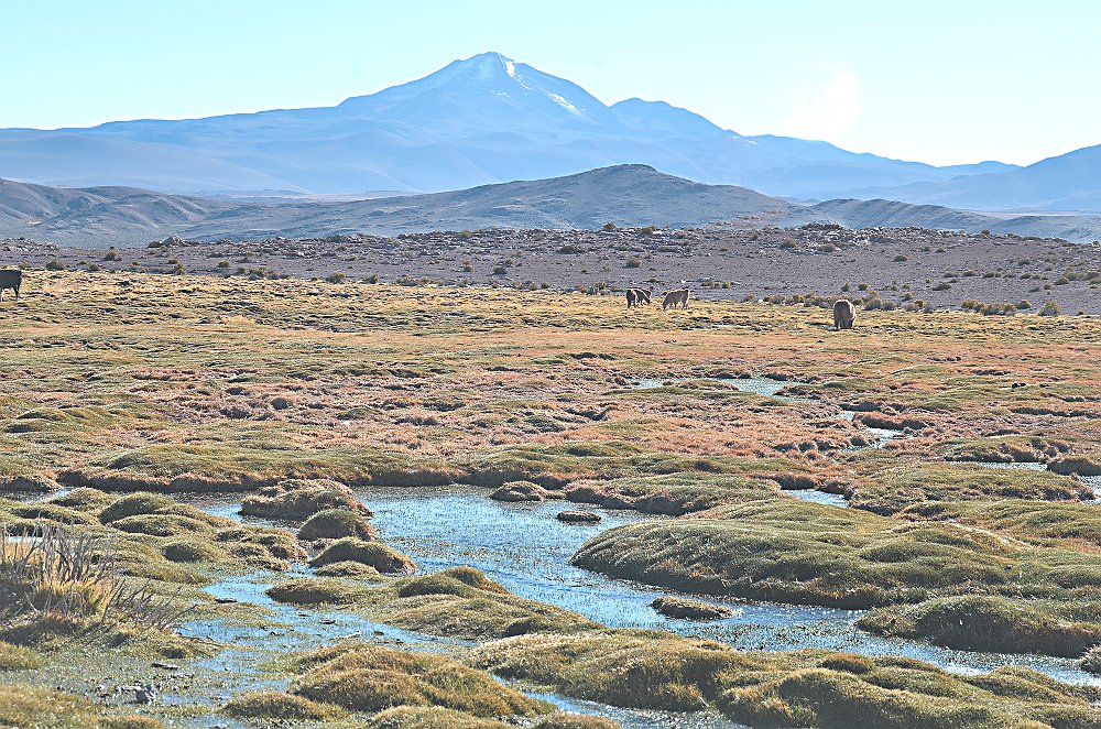 bolivia 541    rr  .jpg